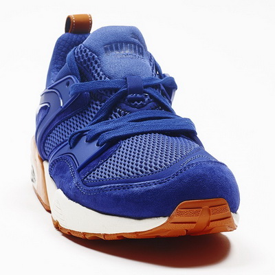 Puma Trinomic Blaze Men Shoes--089